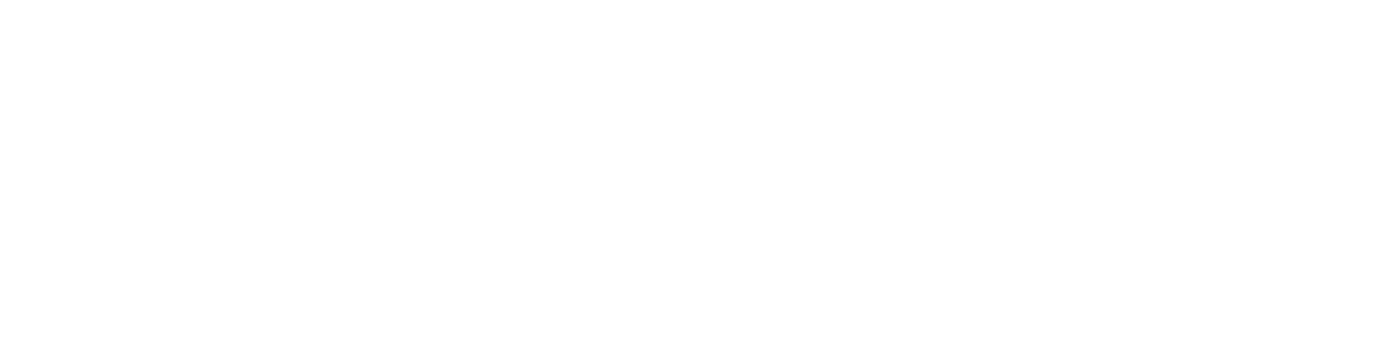 venice promex